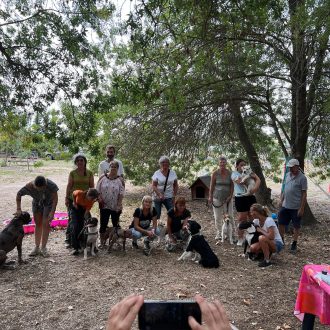 Sociabilisez votre chien avec les promenades et les cours collectifs du centre de formation canin Une main tendue